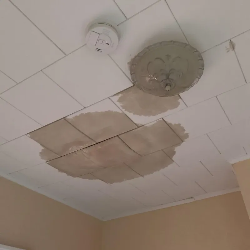 Ceiling Water Damage Repair in Gladwin County, MI