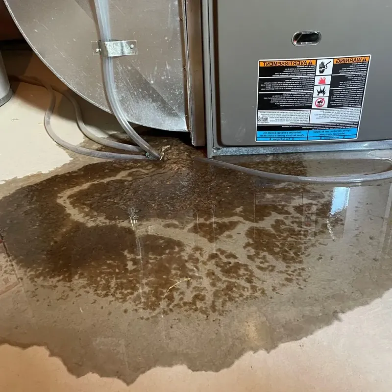 Pipe Burst and Leak Restoration in Gladwin County, MI